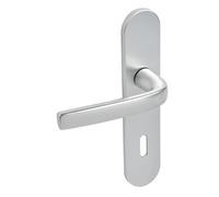 Ensemble sur plaques Logio entraxe 195mm type CLE L finition argent - VACHETTE - 200808 Argent