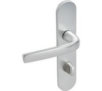 Ensemble sur plaques Logio entraxe 195 mm type bec de cane finition argent VACHETTE 200809