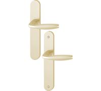 Ensemble sur plaque NEW YORK EA70 grand model type bec de cane finition champagne HOPPE 3281995