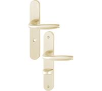 Ensemble sur plaque NEW YORK EA70 grand model type condamnation finition champagne HOPPE 3282269