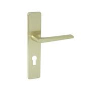 Vachette Ensemble de porte Riviera 90 BEZAULT Entraxe 195 mm Champagne - Clé I - 0072867