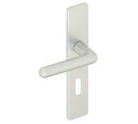 Ensemble sur plaques GOLF type CLE L finition argent - VACHETTE - 012079