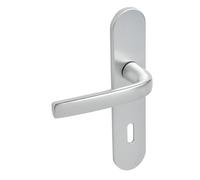 Ensemble sur plaques Logio entraxe 195mm type CLE L finition argent - VACHETTE - 200808 Argent