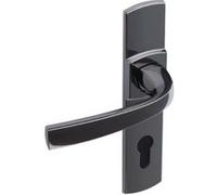 Ensemble Sur Plaques Muze Entraxe 165 Mm Assa Abloy Aube Anjou - Bezault B81E0020 G