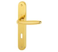 Ensemble sur plaques Roissy laiton clé L - HOPPE - 2367316