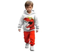Ensemble Sweat-Shirt à Capuche et Pantalon de Jogging imprimé Dinosaure pour garçon, Doublé Polaire Chaude, Tenue de Sport décontractée pour Enfants f28