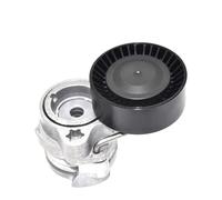 Ensemble Tendeur De Courroie avec Poulie pour BMW 545I 2004-2005 550I 645Ci Alpina B7 Et X5 (Références : 11287549588 Et 11287505224).