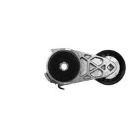 Ensemble tendeur de courroie compatible avec Ford Explorer Ranger 2001-2011. Compatible avec Land Rover, Mazda Mercury LR000736, LR038199, PQG500200, 6L2E6B209CA.