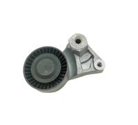 Ensemble Tendeur De Courroie D'Entraînement avec Galet pour Cayenne Et Panamera 3.6 3.0 Et 4.8T (Réf. 94810240323).