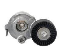 Ensemble Tendeur De Courroie pour VW Touareg Audi A4 A5 A6 A7 A8 Q5 Q7 Quattro 3.0L 059 903 133 F 059903133J