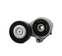 Ensemble tendeur de courroie, roulement de moteur, poulie de tendeur de courroie 077903133C 077903133E Compatible avec AUDI A6 A8 S6 S8 RS6