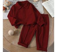 Ensemble Top à manches longues zippé à demi-zip gris unicolore simple et pantalon assorti, convenant aux sorties, aux loisirs et aux tenues de sport quotidiennes pour jeune garçon 6Y,7Y,4Y,5YUnicolore