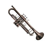Ensemble Trompettes Standard Instrument Professionnel En Si Bémol Laiton Antique Avec Étui Et Accessoires D'embouchure