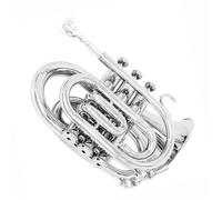 Ensemble Trompettes Standard Mini Trompette En Si Bémol Corps Plat En Laiton Avec Embouchure Gants Chiffon De Nettoyage Et Étui De Transport