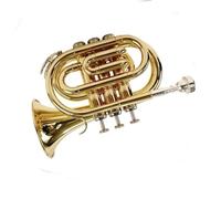 Ensemble Trompettes Standard Mini Trompette En Si Bémol Instrument En Cuivre Pour Débutants Orchestre Scolaire Enseignement