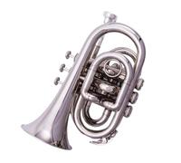 Ensemble Trompettes Standard Mini Trompette Professionnelle À Trois Tons En Si Bémol Idéale Pour Les Débutants Et L'enseignement En Groupe