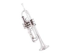 Ensemble Trompettes Standard Trompette Accord Si Bémol Débutant Examen Adulte Instrument En Laiton Or Argent(Silver)