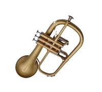 Ensemble Trompettes Standard Trompette Accordée En Si Bémol Instrument Professionnel Plaqué Laiton Avec Étui Et Embouchure