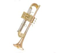 Ensemble Trompettes Standard Trompette En Bronze Phosphoreux Pour Débutant Accord En Si Bémol Instrument Lourd Groupe Niveau Examen Performance(Gold bronze)