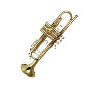 Ensemble Trompettes Standard Trompette En Si Bémol En Laiton Plaqué Or Avec Housse