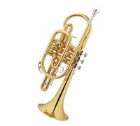 Ensemble Trompettes Standard Trompette En Si Bémol Laquée Or Corps En Laiton