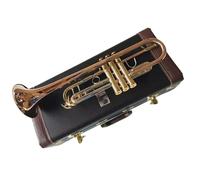 Ensemble Trompettes Standard Trompette En Si Bémol Modèle De Concert Plaqué Or Lourd Avec Embouchure
