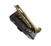 Ensemble Trompettes Standard Trompette En Si Bémol Modèle De Concert Robuste Plaqué Or Avec Embouchure