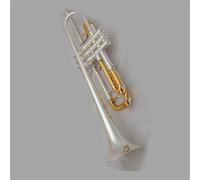 Ensemble Trompettes Standard Trompette En Si Bémol Plaquée Argent Pour Débutants Étui Et Embouchure Inclus
