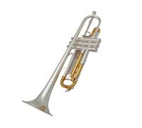 Ensemble Trompettes Standard Trompette En Si Bémol Pour Débutant Avec Étui Et Embouchure