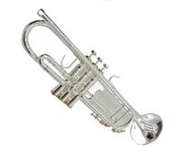 Ensemble Trompettes Standard Trompette En Sib Plaquée Argent Avec Étui