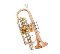 Ensemble Trompettes Standard Trompette Portable En Si Pour Débutants Professionnelle En Bronze Phosphoreux, Dorée Et Argentée(Phosphor Bronze)