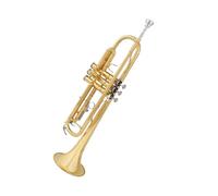 Ensemble Trompettes Standard Trompette Professionnelle Accordée En Sib Plaquée Or