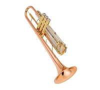 Ensemble Trompettes Standard Trompette Professionnelle En Laiton Et Phosphore Avec Étui En Cuir