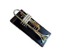 Ensemble Trompettes Standard Trompette Professionnelle En Si Bémol Avec Surface Plaquée Or Et Argent
