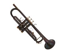 Ensemble Trompettes Standard Trompette Sib Professionnelle Plaquée Argent Avec Embouchure Et Étui