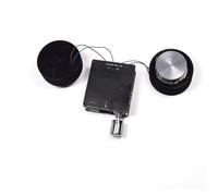 Ensemble vente 2 * 25W 2.0 HIFI Portable résonance Vibration haut-parleur gamme complète Audio haut-parleur Bluetooth 5.0 ClassD amplificateur théâtre(1 set with power)