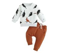 Ensemble Vêtement Enfant Garçon Été Tenue 2 Pièces Tee Shirt à Manches Courtes + Shorts Imprimé Dinosaure Costume Sport Bébé Garçon 2-8 Ans Survêtement (Brun C, 9-12 Months)