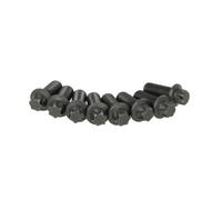 Ensemble vis, volant d'inertie SACHS 1874 000 030