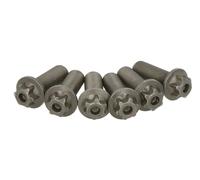 Ensemble vis, volant d'inertie SACHS 1874 000 045