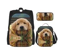 Ensembles de sacs à dos 3 pièces cartable garçons adolescents (chien Golden Retriever) livre sac + sac à déjeuner + trousse à crayons mignon sac à dos collège travail gym randonnée pêche sac de tran