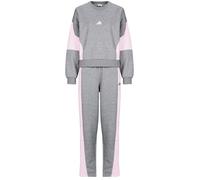 Ensembles de survêtement femmes adidas Laziday Track Suit Gris EU L