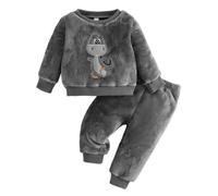 ensembles pyjama polaire bebe garcon 0-3 ans dinosaure hiver chaud pull enfant garcon flanelle doux manche longue + pantalon jogging molleton vetement de nuit garcon loungewear (Grey, 18-24 mois)