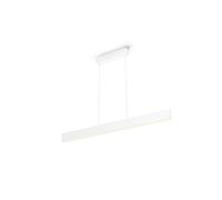 Ensis Suspension