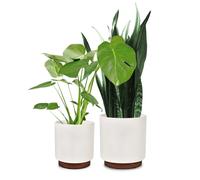 Fox & Fern Lot de 2 Grands Pots de Fleurs pour intérieur et extérieur, résistants aux UV et au Gel, en polystone, pour Plantes d'intérieur et Fleurs avec Bouchon de Drainage