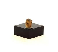 ENSTATITE - Pierre Naturelle en Provenance de Tanzanie, Kilosa District, Morogoro Region Pierre précieuse, minéralogie, gemme 2.96 ct - Certificat d'Authenticité Inclus 9 x 6 x 4 mm G