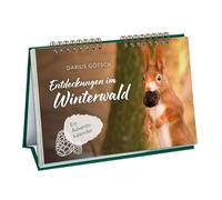 Entdeckungen im Winterwald: Ein Adventskalender