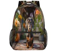 Entemne Sac d'école pour enfants pour garçons et filles - Motif teckel mignon - Grand sac à dos pour l'école primaire et secondaire - Imperméable et léger - Pour adolescents, voyage, randonnée