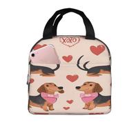 Entemne XOXO Sac à déjeuner isotherme avec motif teckel mignon pour homme, femme, enfant, petit sac isotherme étanche pour le travail, le pique-nique, l'école