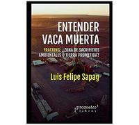 Entender Vaca Muerta: Fracking: Â¿Zona De Sacrificios Ambientales O Tierra Prometida?