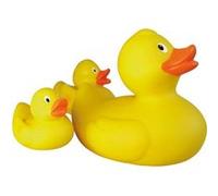 Entenfamilie G